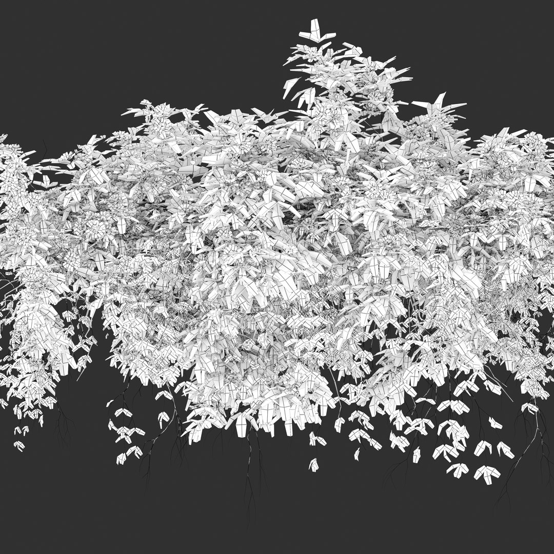 3D Hanging Plant 23 https://p.turbosquid.com/ts-thumb/WI/6wLJnQ/pQ/previewq4thp/jpg/1660106224/1920x1080/fit_q87/e569eb560c2a82627fdbc9182510433838b08e57/previewq4thp.jpg