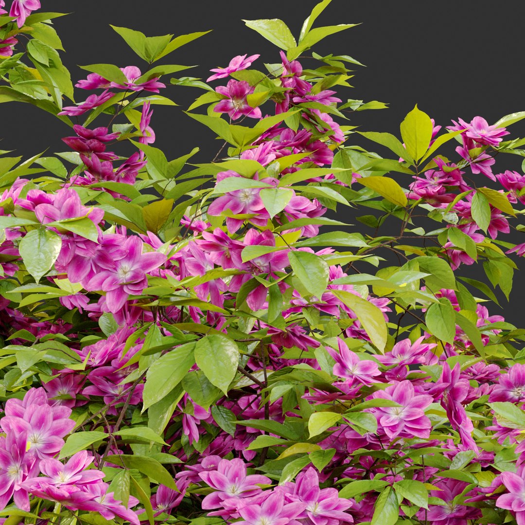 3D Hanging Plant 23 https://p.turbosquid.com/ts-thumb/WI/6wLJnQ/rg/previewq6thp/jpg/1660106223/1920x1080/fit_q87/e39532386c1b1e530070866b9d24191ca76b8526/previewq6thp.jpg