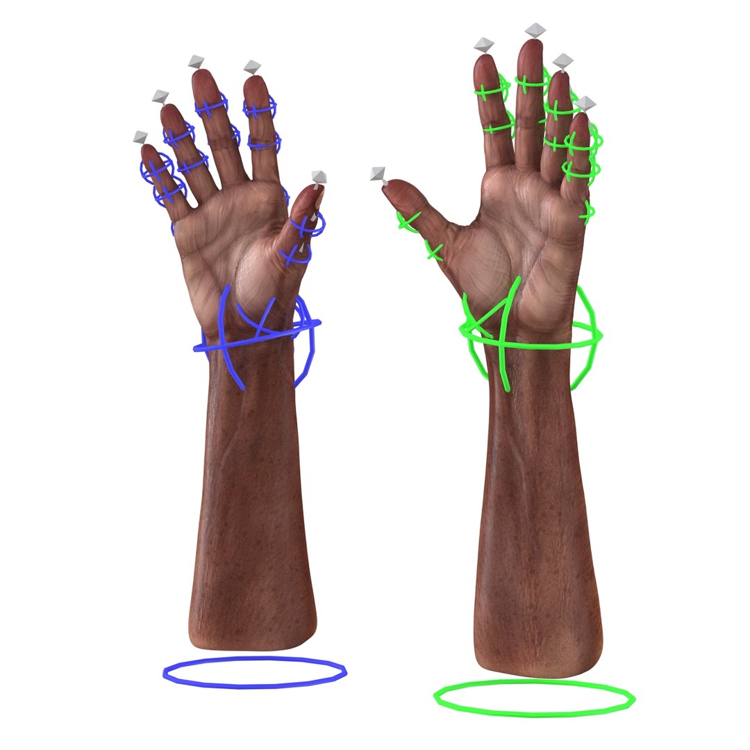 Rigged Man Hands 3D Model - TurboSquid 1196052