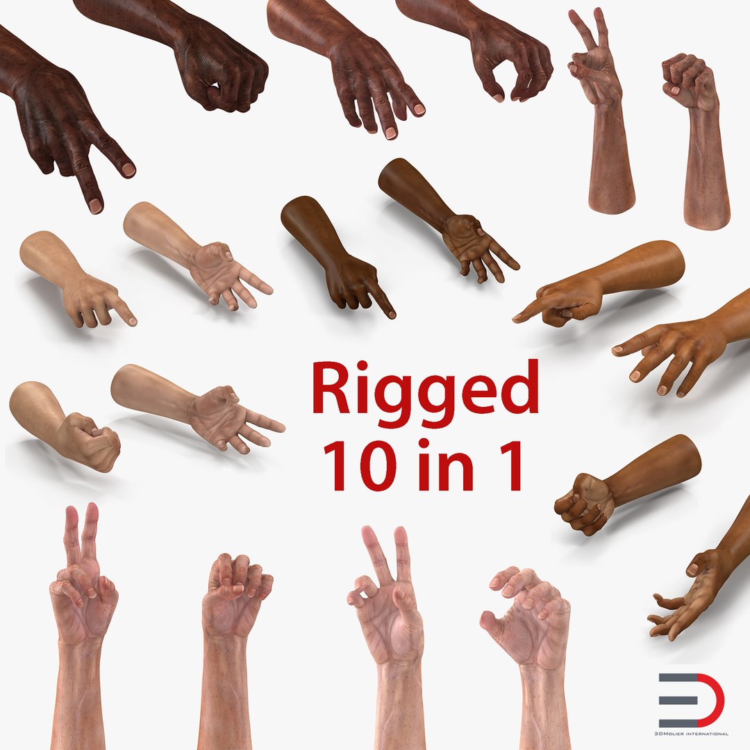 Rigged Man Hands Collection 3D model preview
