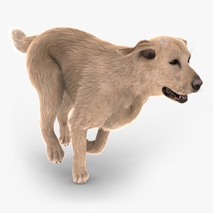 Animated Dog 3D Models for Download | TurboSquid