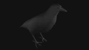 3D Raven