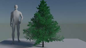 fit-tree 3d model
