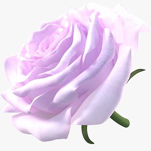 Realistic Pink Rose 3D Model - Ultra-High Quality 4K PBR Asset