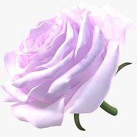 Realistic Pink Rose 3D Model - Ultra-High Quality 4K PBR Asset