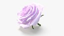 Realistic Pink Rose 3D Model - Ultra-High Quality 4K PBR Asset