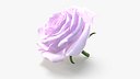 Realistic Pink Rose 3D Model - Ultra-High Quality 4K PBR Asset