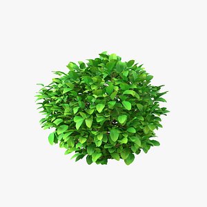 Cartoon Bush 09 3D