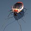 cockroach bug insect 3d model