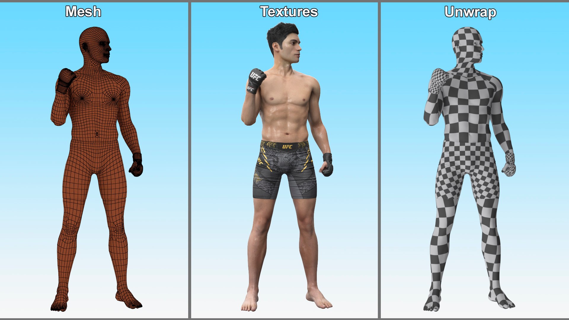 3D Model Fighter UFC MMA In Pose Fur - TurboSquid 2333990