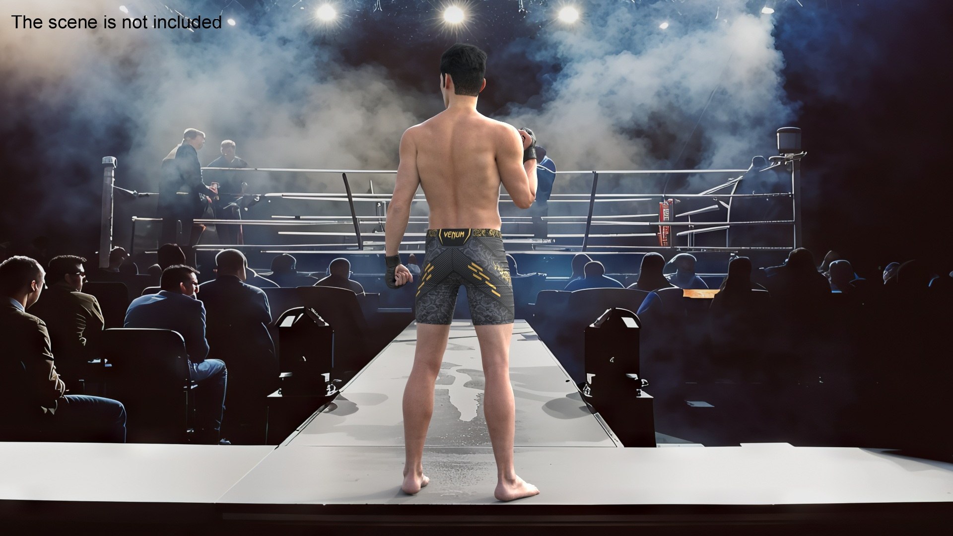 3D Model Fighter UFC MMA In Pose Fur - TurboSquid 2333990