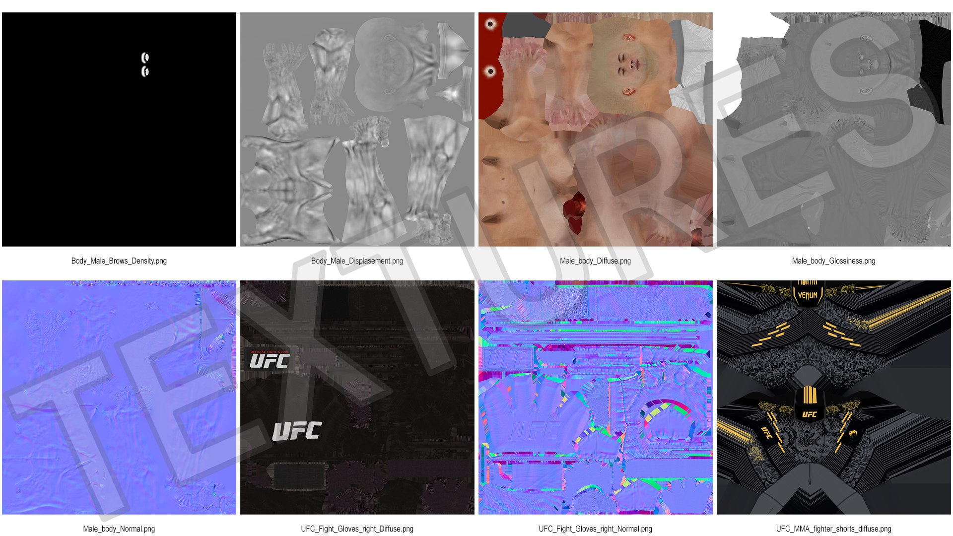3D Model Fighter UFC MMA In Pose Fur - TurboSquid 2333990