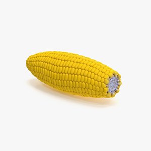 3D model Ear of Corn