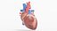 Human Heart Animated (Pro Version)