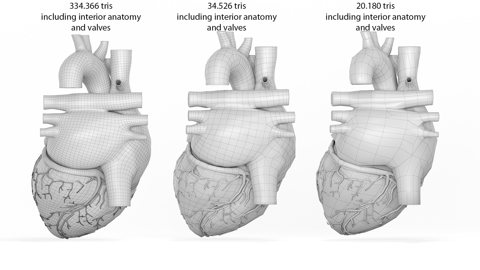 3D human heart https://p.turbosquid.com/ts-thumb/WJ/lpLKJn/IXDQnvSo/heart_all__lp03/jpg/1573812559/1920x1080/fit_q87/2e27cc1e781a40e8011d941dbd41478705214398/heart_all__lp03.jpg