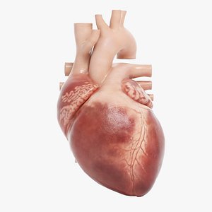 Human Heart Animated (Pro Version)