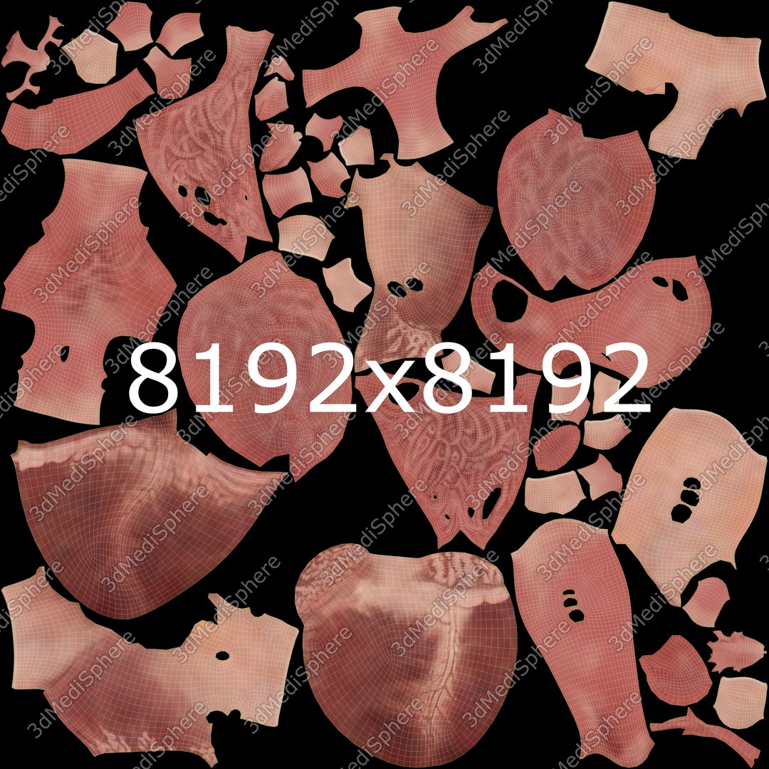 3D human heart https://p.turbosquid.com/ts-thumb/WJ/lpLKJn/owtisPvT/23_unwrap_closed/png/1556887416/1920x1080/fit_q87/95063fbeeaf4d0e45ed5f984174a6eeaae2f59f9/23_unwrap_closed.jpg