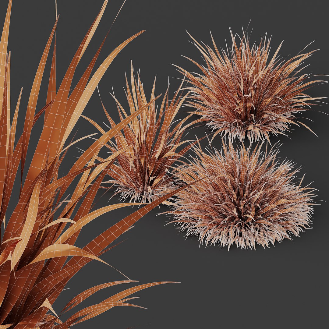 HQ Plants Molinia Caerulea Heidebraut Kleines PfeifengrasCorona max 3D model https://p.turbosquid.com/ts-thumb/WK/1z4AmZ/5H/z05/png/1695388232/1920x1080/fit_q87/b30961278b20c5b67b2487cd701f4d069013bab0/z05.jpg