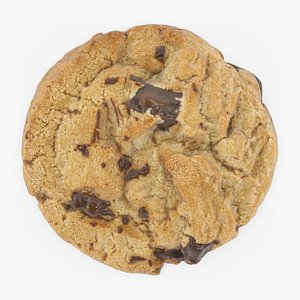 Chocolate Chip Cookie 01 model