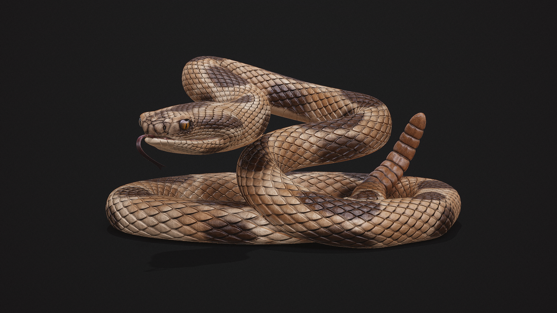 Rattle Snake 3D Model Game Ready - Team 3d Yard