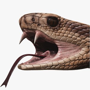 3D ready rattlesnake model