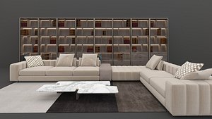 Sofa minotti and Library