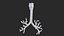 Larynx Trachea BronchialTree