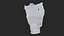 Larynx Trachea BronchialTree
