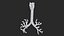Larynx Trachea BronchialTree