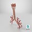 Larynx Trachea BronchialTree