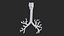 Larynx Trachea BronchialTree