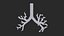 Larynx Trachea BronchialTree