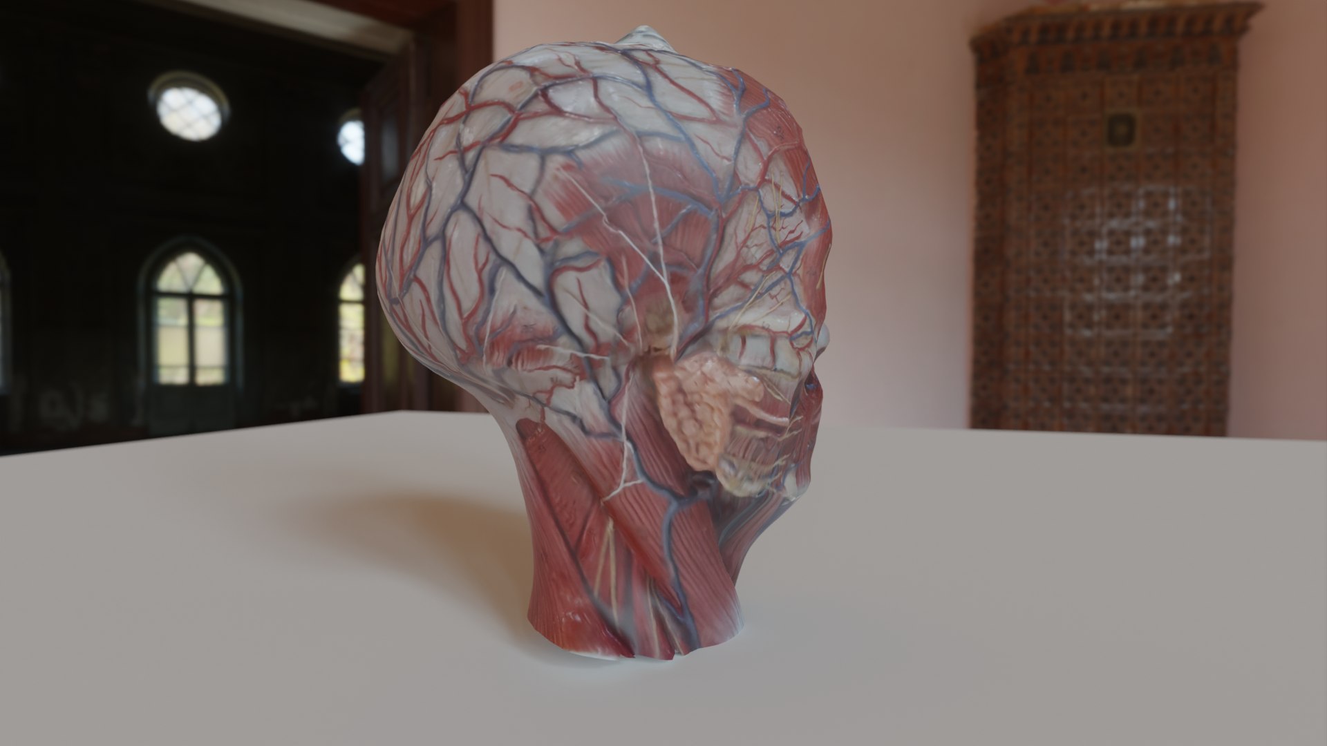 3D Anatomical Head Model TurboSquid 1970934