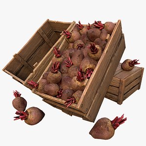 3D BeetRoot Box Crate Stand model