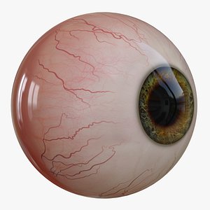 3D eye v-ray