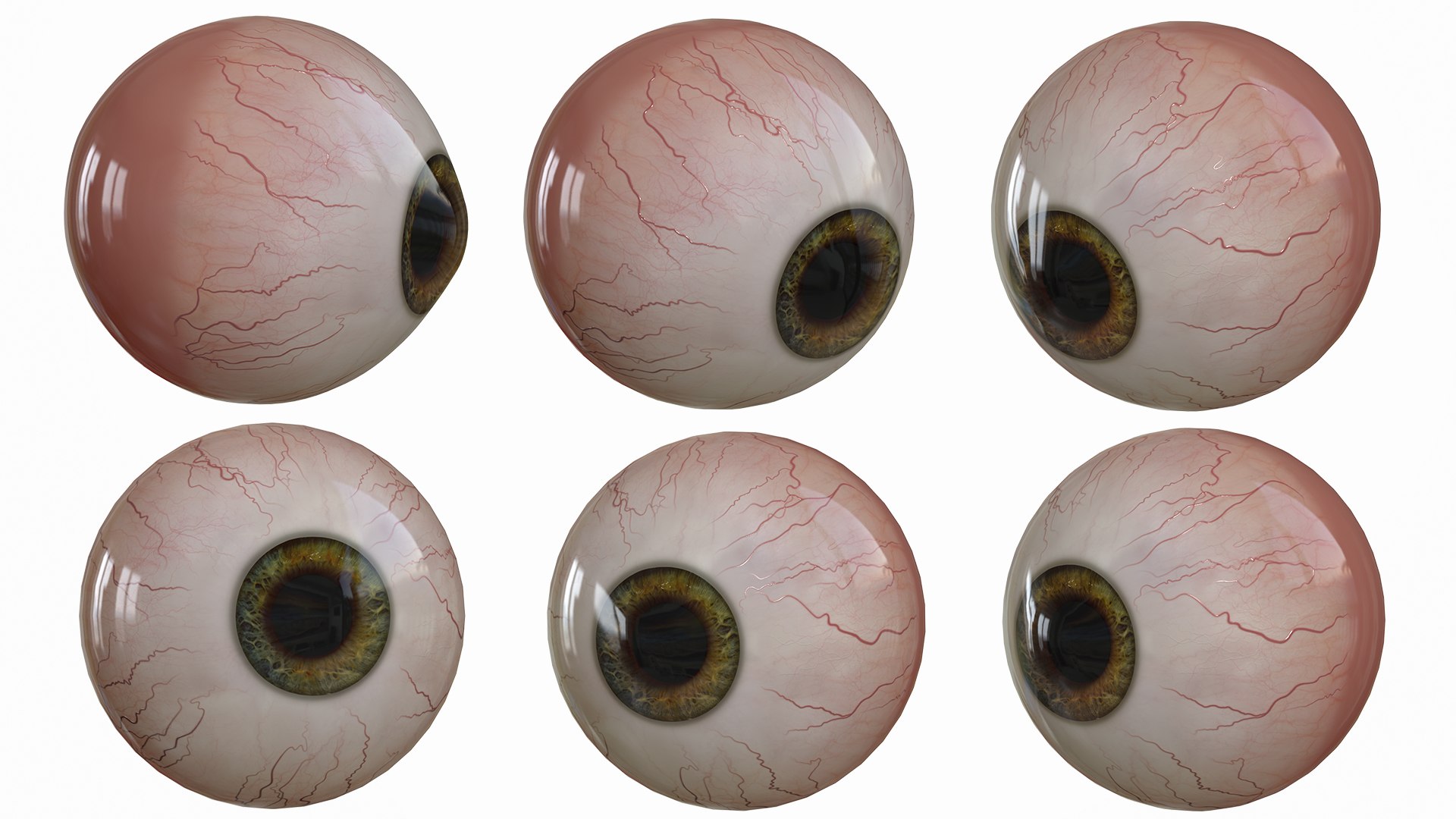 3D Eye V-ray - TurboSquid 1640061