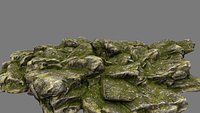 mossy rock3
