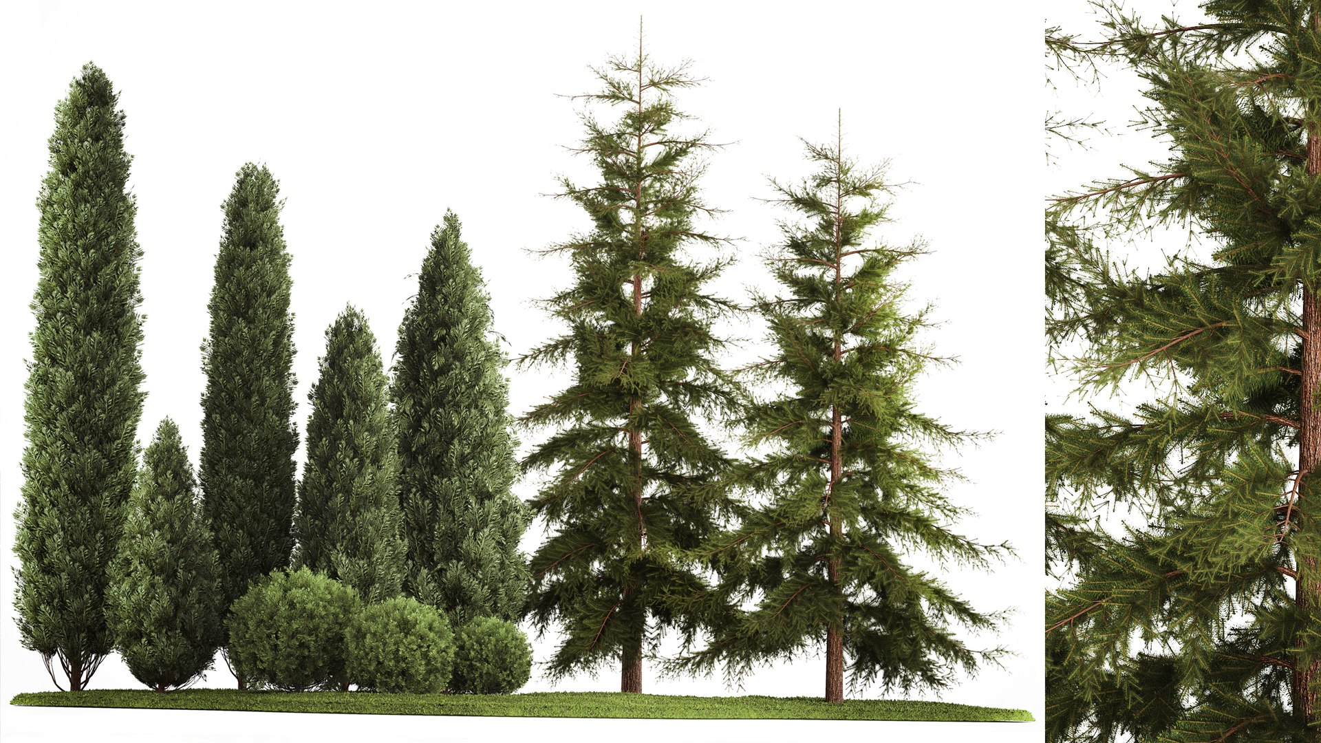3D Garden of thuja and cypress trees with bushes 1155 https://p.turbosquid.com/ts-thumb/WK/uAT19Z/Do/1plant2711202202/jpg/1670014663/1920x1080/fit_q87/9298e74880b44e9bed688cf1b7dd06c786f26534/1plant2711202202.jpg