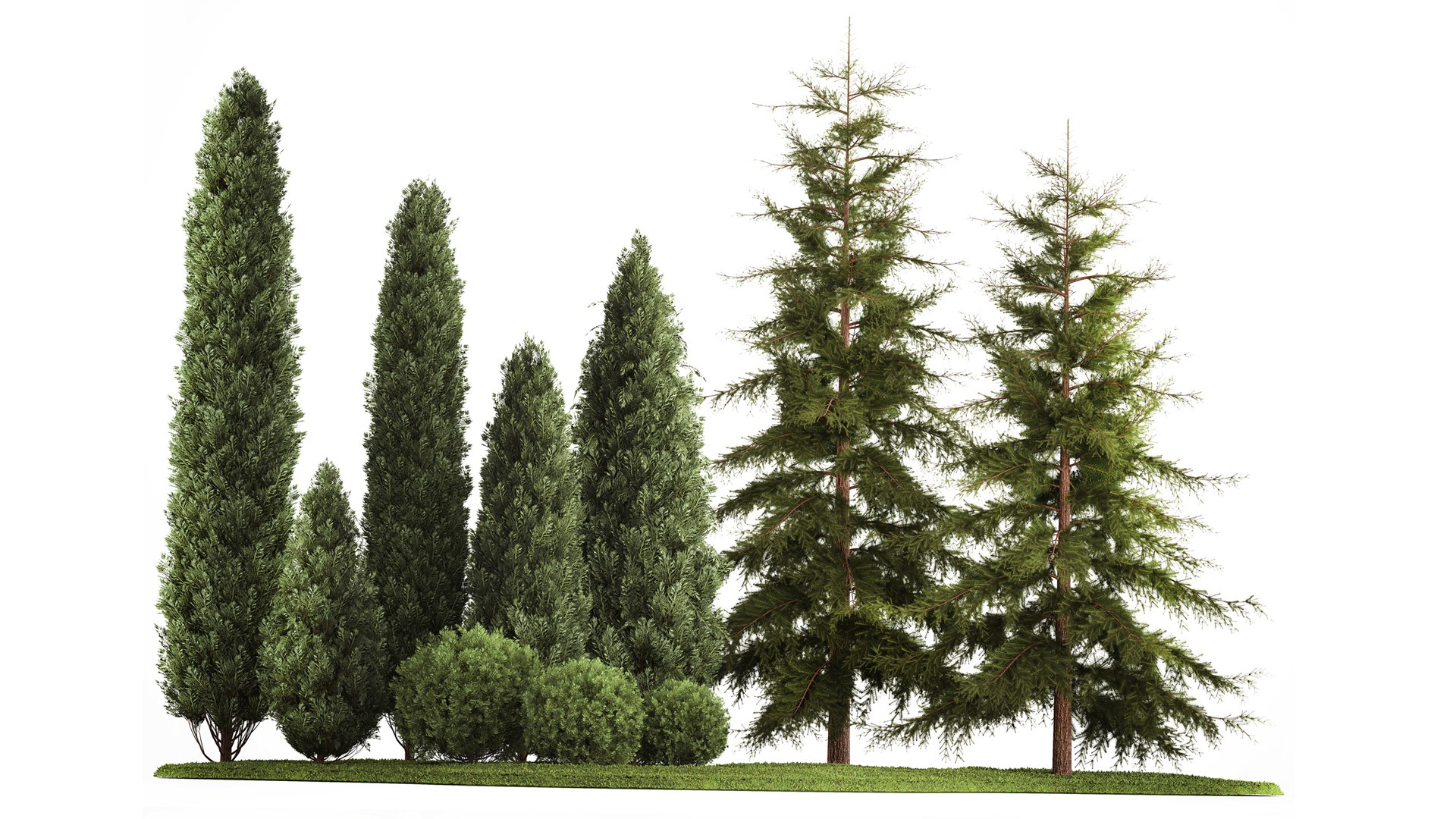 3D Garden of thuja and cypress trees with bushes 1155 https://p.turbosquid.com/ts-thumb/WK/uAT19Z/ca/1plant2711202201/jpg/1670014661/1920x1080/fit_q87/13e01fd1d87c647ce8ec134b895d297b4956ea12/1plant2711202201.jpg