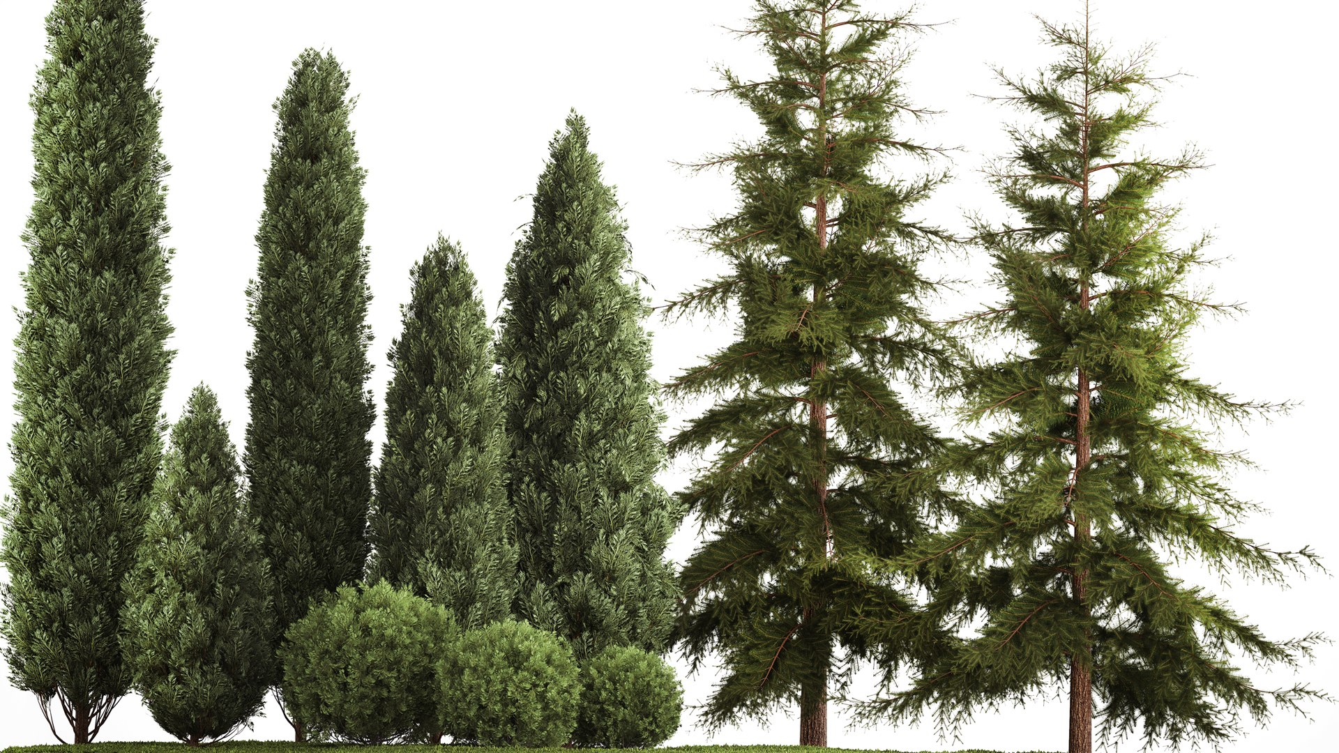 3D Garden of thuja and cypress trees with bushes 1155 https://p.turbosquid.com/ts-thumb/WK/uAT19Z/fA/1plant2711202204/jpg/1670014661/1920x1080/fit_q87/46c6ed531eb634b1d25db617971dc0518490c937/1plant2711202204.jpg