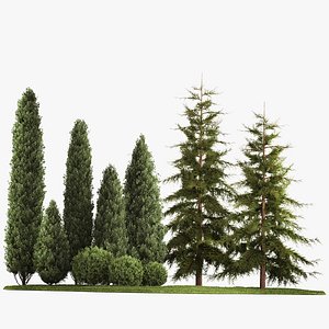 3D Garden of thuja and cypress trees with bushes 1155