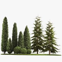 Garden of thuja and cypress trees with bushes 1155