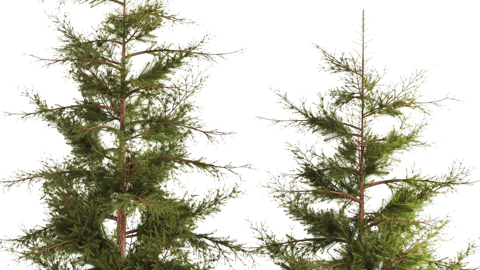 3D Garden of thuja and cypress trees with bushes 1155 https://p.turbosquid.com/ts-thumb/WK/uAT19Z/nh/1plant2711202207/jpg/1670014666/1920x1080/fit_q87/90e37099e979bd73a0aed9b684fdf35ea5248cf0/1plant2711202207.jpg