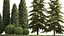Jardin de thuyas et cyprès avec buissons 1155