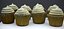 CUP CAKE À LA VANILLE 2024 MAX 2019