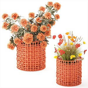 3D Peony Poppy flowers bushes terracotta basket pots decor