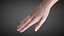 Female Hand Rigged for Cinema 4D