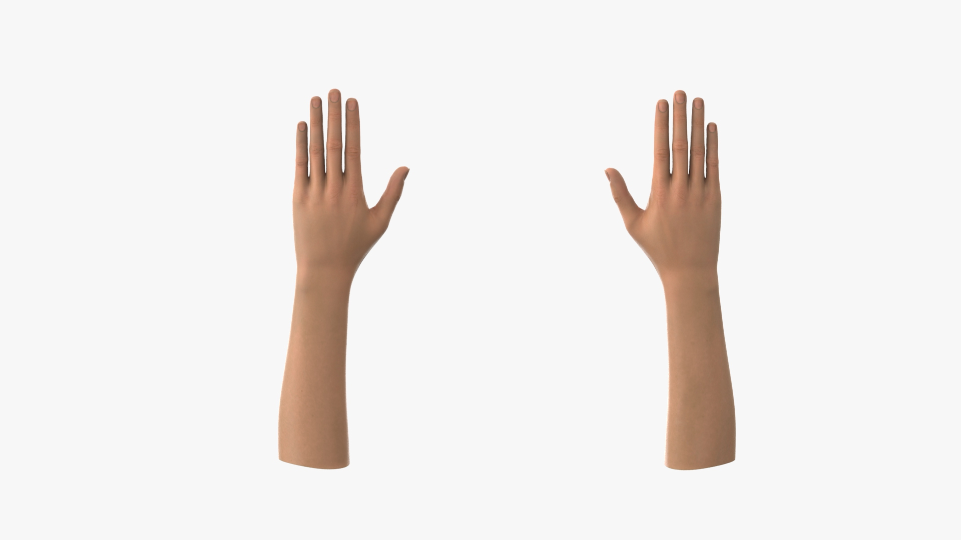 3D Female Hand Rigged for Cinema 4D https://p.turbosquid.com/ts-thumb/WK/z8C5bd/Hy/render/jpg/1680433718/1920x1080/turn_fit_q99/6d862ca38c7df41c28259c74b89b3f66f0189563/render-1.jpg