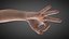 Female Hand Rigged for Cinema 4D
