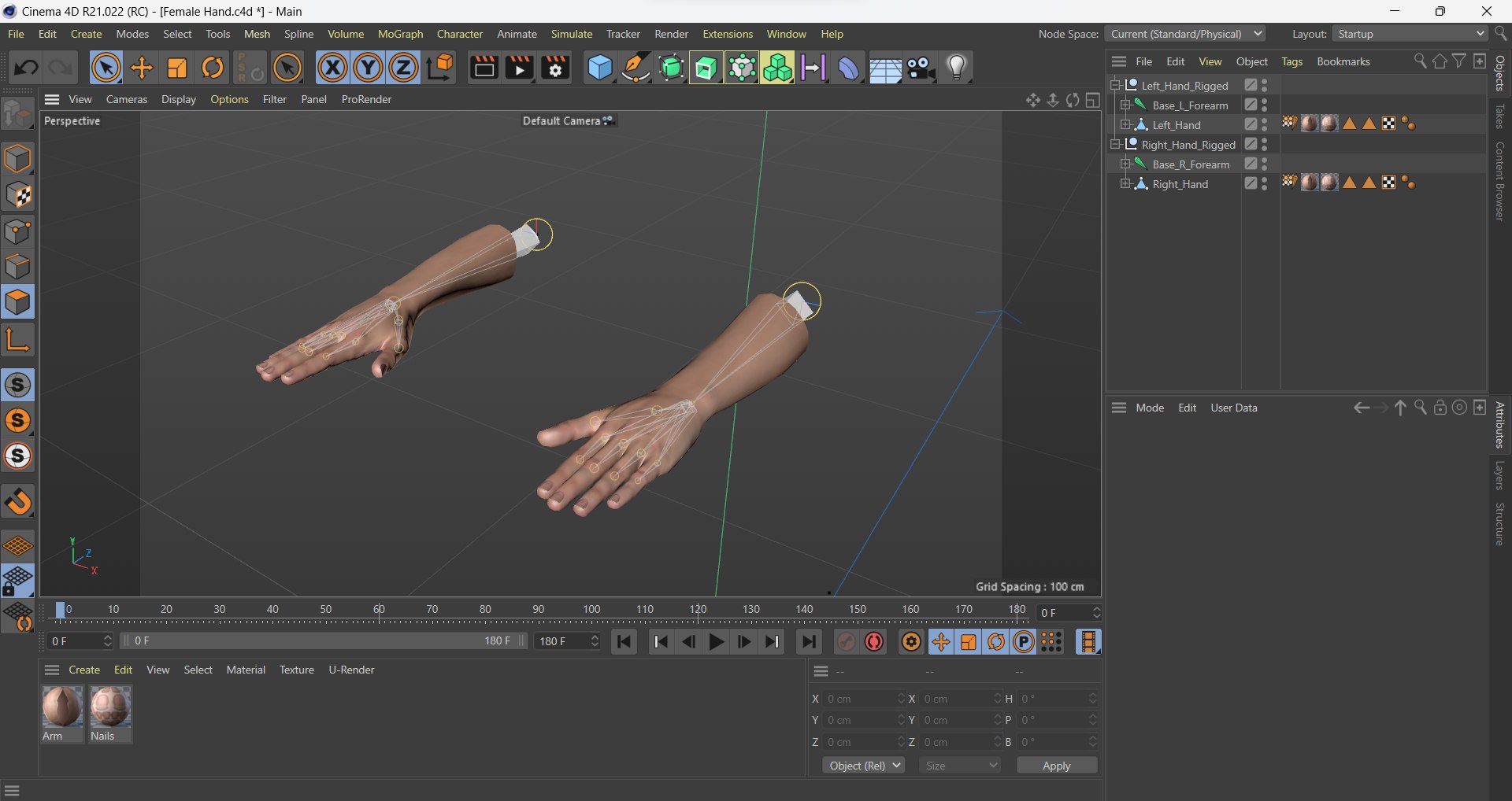3D Female Hand Rigged for Cinema 4D https://p.turbosquid.com/ts-thumb/WK/z8C5bd/tE/s14/png/1680432287/1920x1080/fit_q87/fabe197516161339214ea449964f0bd80b3e5bbd/s14.jpg